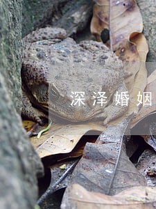 深泽婚姻危机处理律师 深泽婚姻危机处理律师