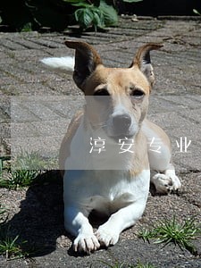 淳安专业法律顾问事务所 淳安专业法律顾问事务所