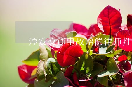 淳安交通事故赔偿律师推荐 淳安交通事故赔偿律师推荐