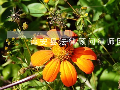 淳安县法律顾问律师团队咨询 淳安县法律顾问律师团队咨询