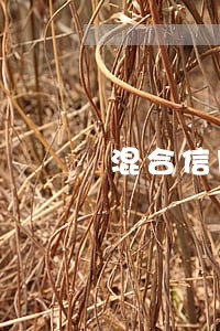 混合信用卡逾期三个月了怎么办 混合信用卡逾期三个月了怎么办