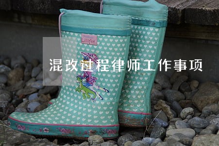 混改过程律师工作事项 混改过程律师工作事项