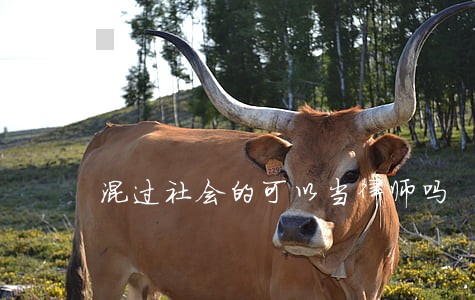 混过社会的可以当律师吗 混过社会的可以当律师吗