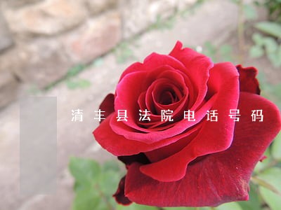清丰县法院电话号码 清丰县法院电话号码