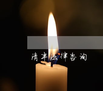 清丰法律咨询