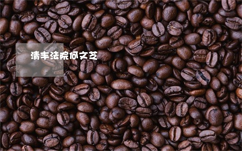 清丰法院何文芝 清丰法院何文芝
