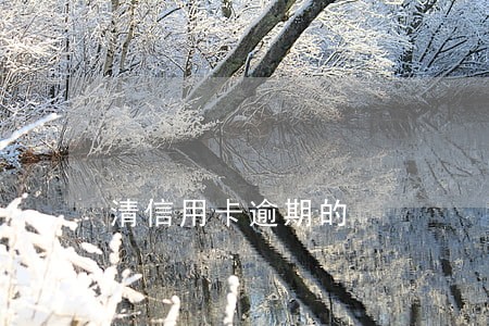清信用卡逾期的 清信用卡逾期的