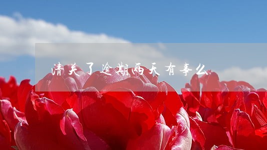 清关了逾期两天有事么 清关了逾期两天有事么