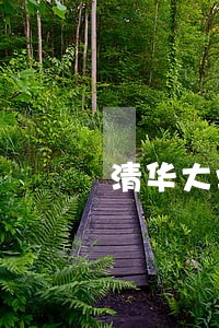 清华大学有什么违法的学生 清华大学有什么违法的学生