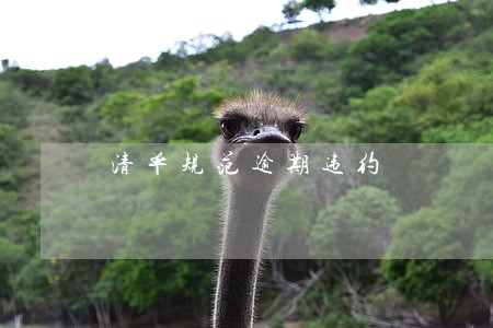 清单规范逾期违约 清单规范逾期违约