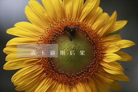 清卡逾期后果 清卡逾期后果