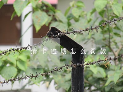 清卡逾期怎么罚款 清卡逾期怎么罚款