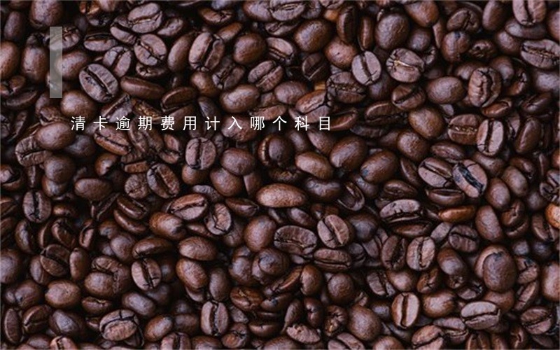 清卡逾期费用计入哪个科目
