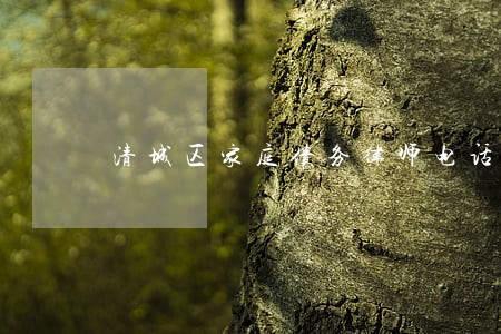 清城区家庭债务律师电话 清城区家庭债务律师电话