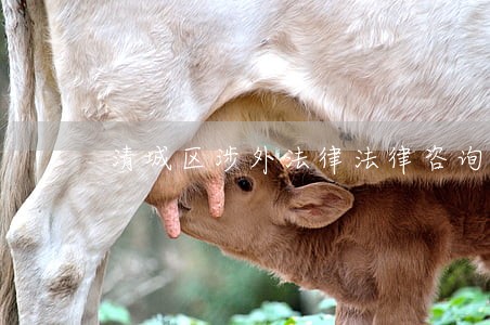 清城区涉外法律法律咨询热线 清城区涉外法律法律咨询热线