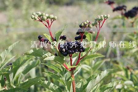 清城区职务犯罪律师在线免费咨询 清城区职务犯罪律师在线免费咨询