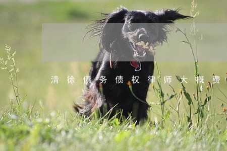 清徐债务债权律师大概费用