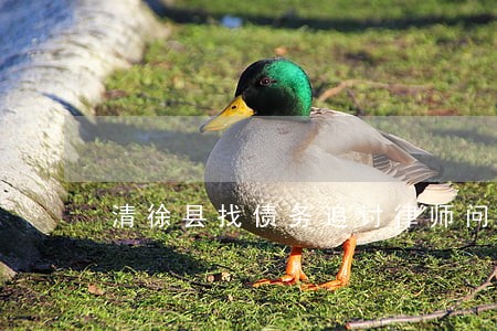 清徐县找债务追讨律师问题 清徐县找债务追讨律师问题