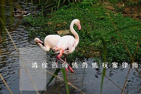 清徐咨询债务债权案律师 清徐咨询债务债权案律师