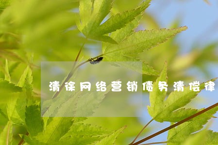 清徐网络营销债务清偿律师 清徐网络营销债务清偿律师