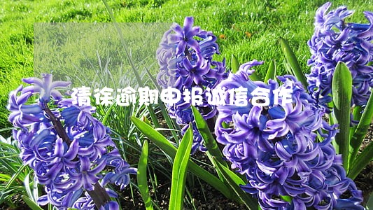 清徐逾期申报诚信合作 清徐逾期申报诚信合作