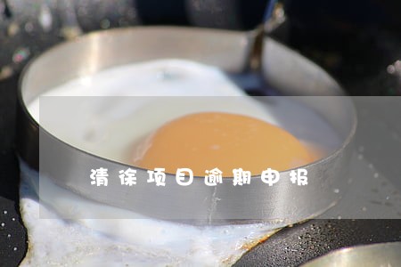 清徐项目逾期申报
