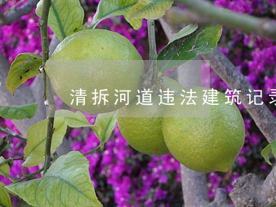 清拆河道违法建筑记录 清拆河道违法建筑记录