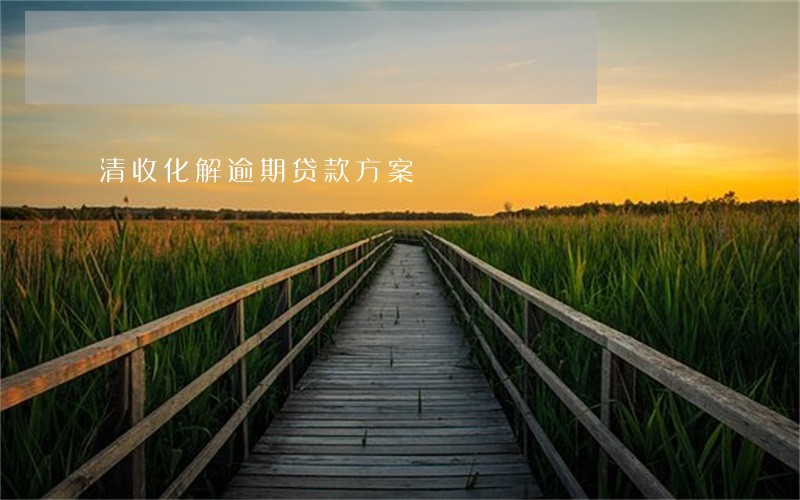 清收化解逾期贷款方案 清收化解逾期贷款方案