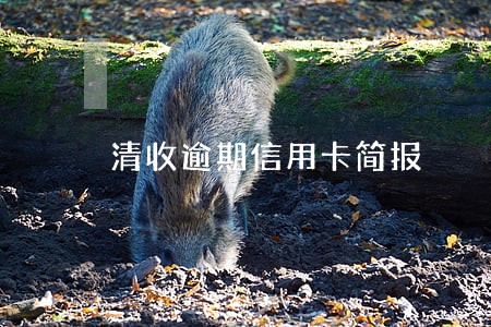 清收逾期信用卡简报 清收逾期信用卡简报