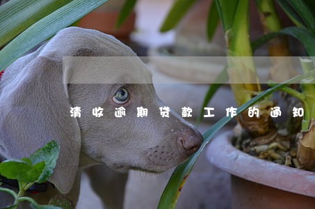 清收逾期贷款工作的通知 清收逾期贷款工作的通知