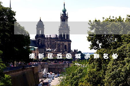 清新区丘国城逾期名单