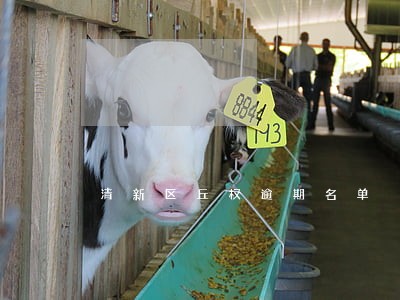 清新区丘权逾期名单 清新区丘权逾期名单