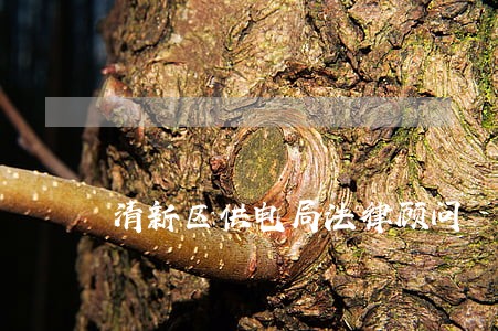 清新区供电局法律顾问 清新区供电局法律顾问
