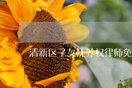 清新区子女抚养权律师免费咨询 清新区子女抚养权律师免费咨询