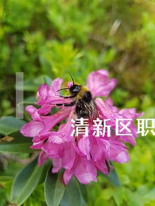 清新区职务犯罪在线律师 清新区职务犯罪在线律师