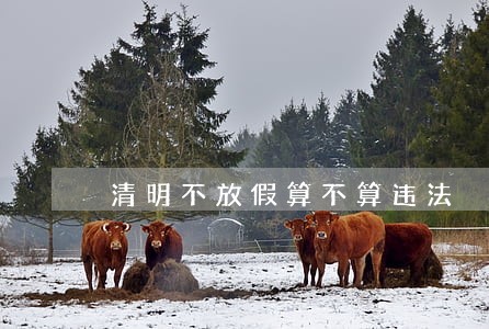 清明不放假算不算违法 清明不放假算不算违法