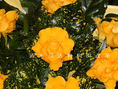 清未司法机构的改革 清未司法机构的改革