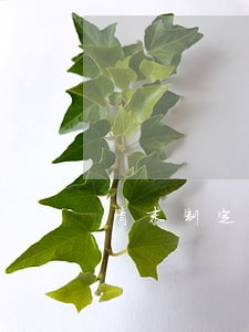 清末制定的商事法律中 清末制定的商事法律中