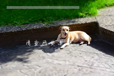 清查网贷逾期 清查网贷逾期