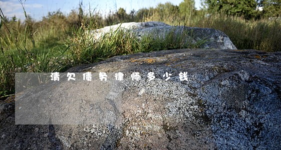 清欠债务律师多少钱 清欠债务律师多少钱