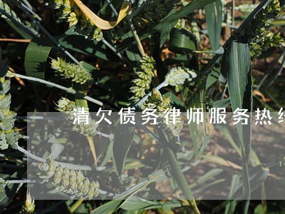 清欠债务律师服务热线