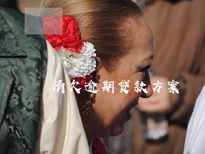 清欠逾期贷款方案 清欠逾期贷款方案