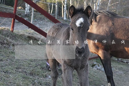 清水县国家赔偿律师在线免费咨询 清水县国家赔偿律师在线免费咨询