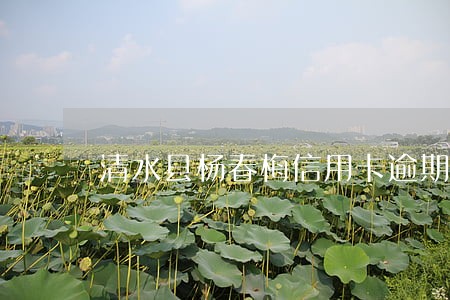 清水县杨春梅信用卡逾期案