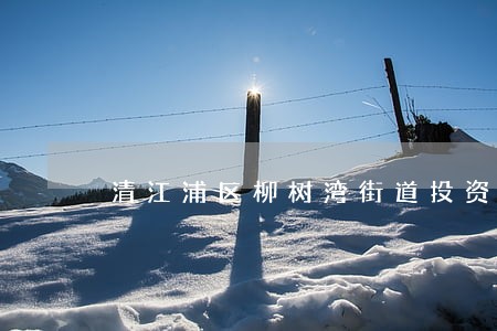 清江浦区柳树湾街道投资并购律师