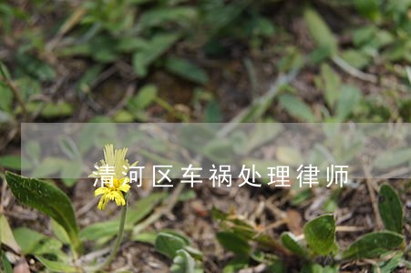 清河区车祸处理律师 清河区车祸处理律师