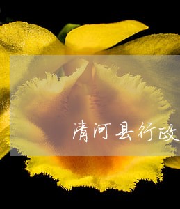 清河县行政复议在线律师