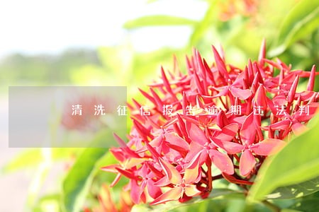 清洗征信报告逾期违法判刑吗 清洗征信报告逾期违法判刑吗