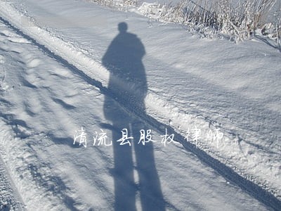清流县股权律师 清流县股权律师