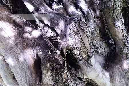 清流法律咨询 清流法律咨询